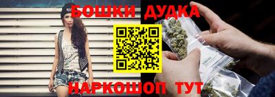 PSILOCYBIN Нальчик