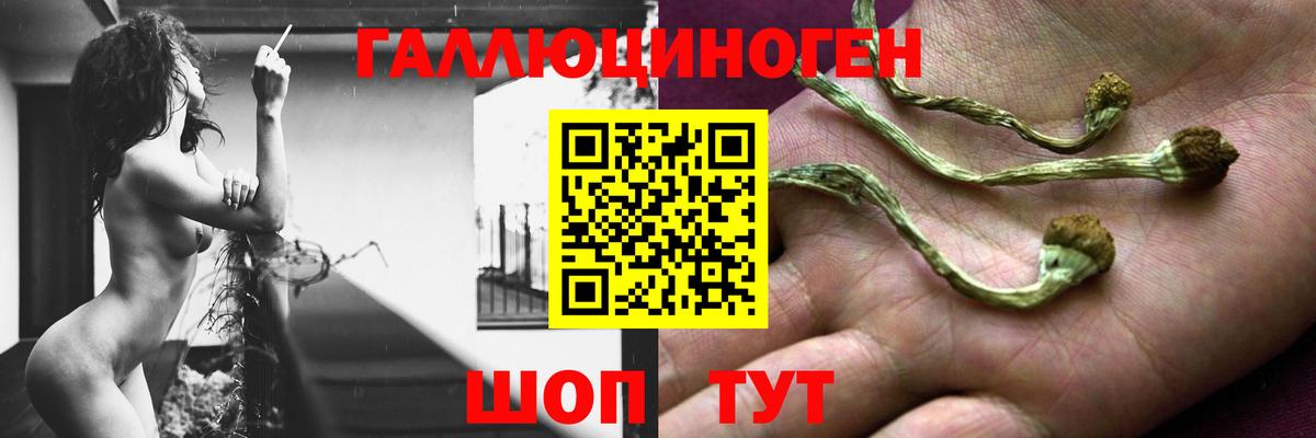 КОКАИН Томск